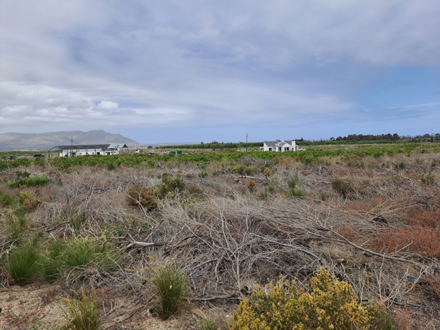 Commercial Property for Sale in Kleinmond Rural Western Cape